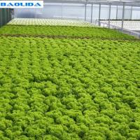A Type Tower Hydroponics System For Agriculture Greenhouse