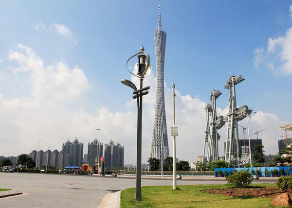 Beautiful Hybrid Solar Street Light / Solar Wind Street Light Monocrystalline Solar Panel
