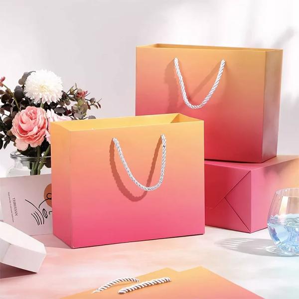 110gsm 120gsm Paper Bag Packaging For Clothes Waterproofing Fsc Certified