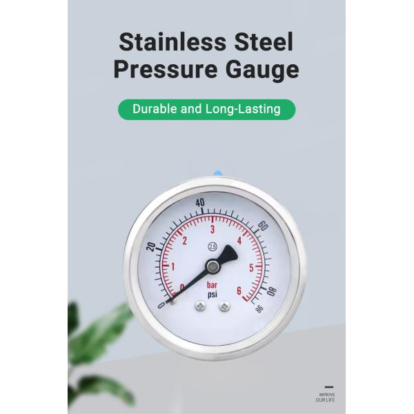 Back-Mounted 60mm Stainless Steel Bourdon Tube Pressure Gauge with Customized OEM Support