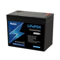 cellule profonde du cycle 6000times Ganfeng de batterie de phosphate de lithium de 25.6V 50Ah 1280Wh