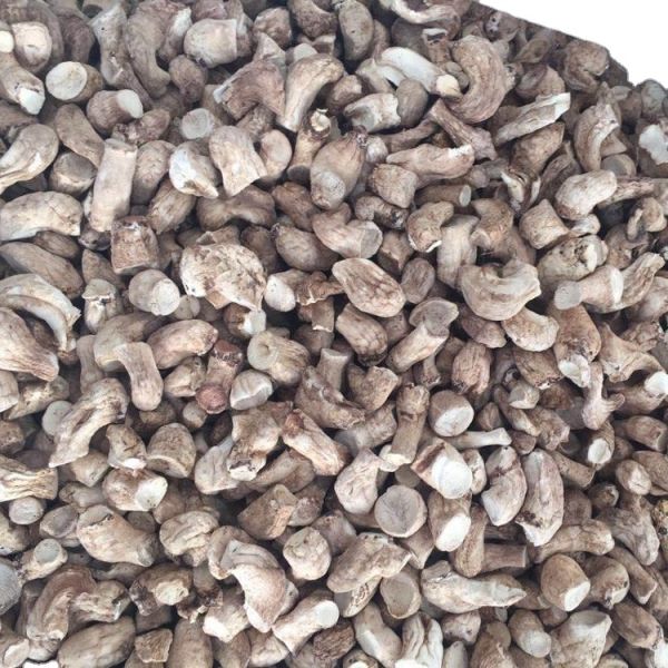 1Kg Dry Stem  Dried  Shiitake Mushroom