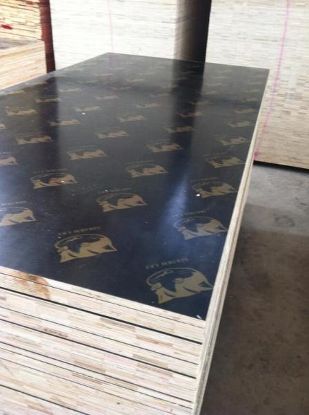 Shandong Linyi Film Faced Plywood Marine Plywood Construction Plywood