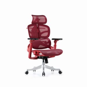 Ergonomic Mesh Computer Chair Office Executive Chair Featuring Adjustable Lumbar Support Breathable Full Mesh Back& Seat Cushion and Durable Frame for Long Lasting