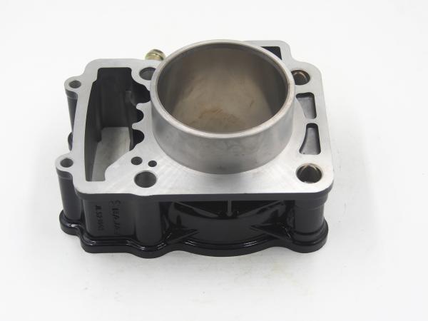 Water Cooled Motorcycle Cylinder Block 200cc Displacement For Bajaj Pulsar 200ns