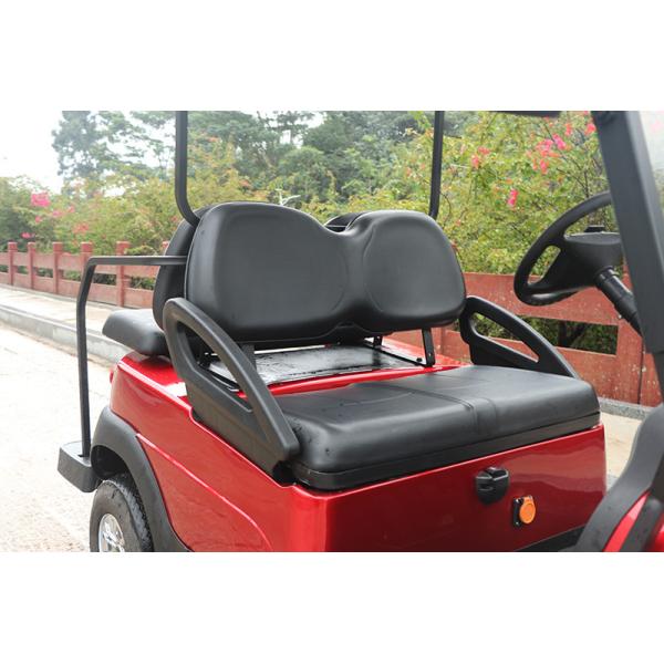 2 Seats+2 Foldable Rear Seat Electric Golf Cart 48V Lithium Battery 30% Climbing Ability