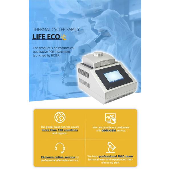 Genes Life Science Equipments LifeECO PCR Machine with Accurate Temperature Control