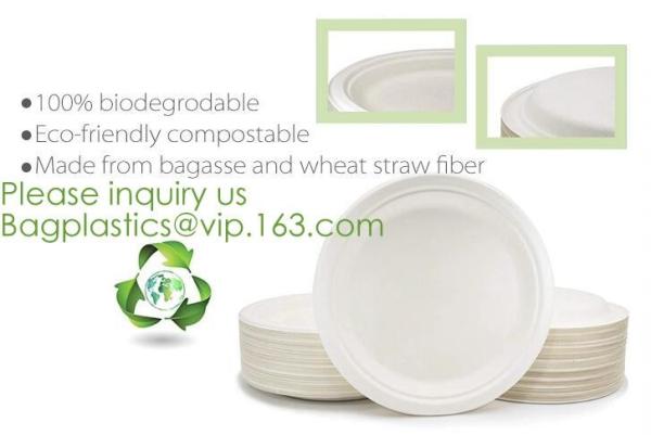 PLA Drinking Straws, CPLA Giant Straws, Individually Wrapped, Plant Based Compostable Flexi straws, cocktail