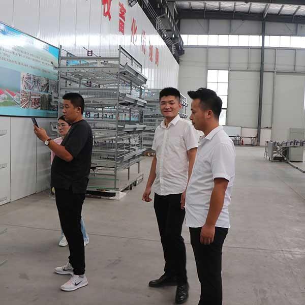 Anti Fading Simple Quail Cage , 1.8mm - 3.5mm Dia Automatic Poultry Cage