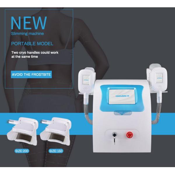Salon / Clinic / Home Use Body Fat Freezing Machine Portable With Two Cryo Handles