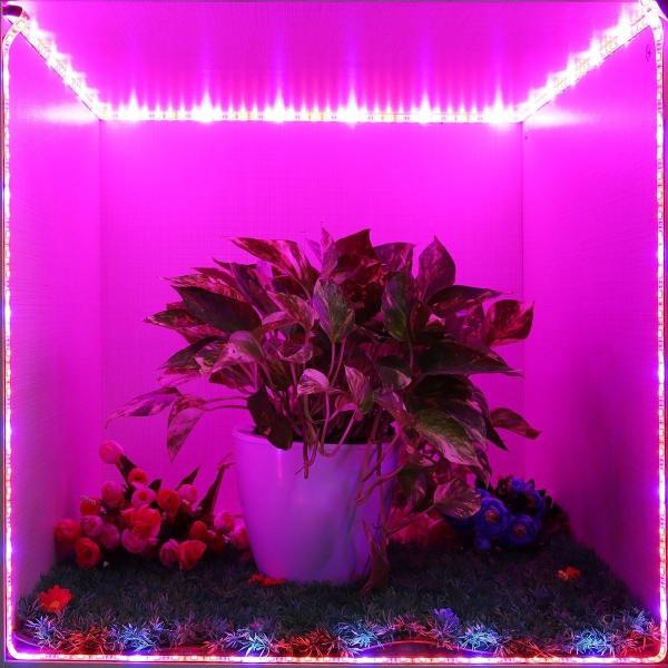 5V PLANT LED Grow Light Strips,Waterproof Full Spectrum Plant Grow Light, USB 16ft 300LEDs