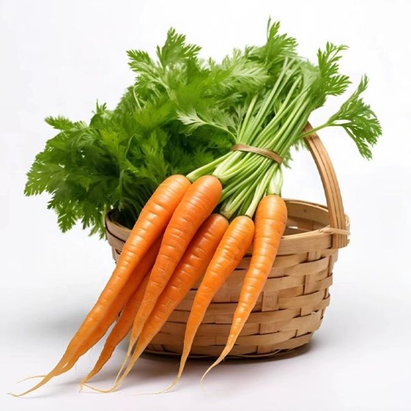 New Crop Shandong Agricultural Fresh Top Grade Sweet Taste Healthy Red Carrots Cheap Price