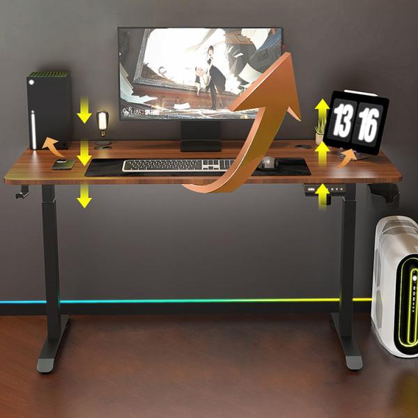 Electric Sit Standing Desk with Double Motors and Custom Mechanical Height Adjustment