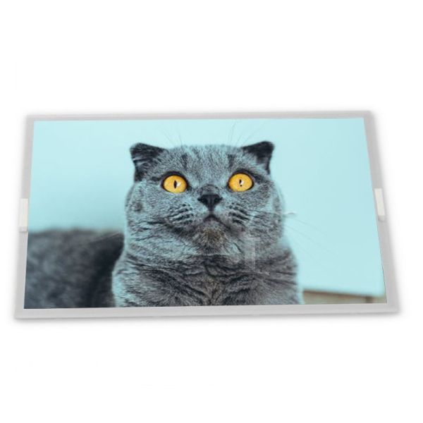 ZJ090NA-03B Módulo de pantalla LCD de transistor de película fina resistiva de 9,0 pulgadas 800*480, modelo de panel