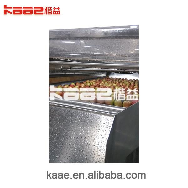 500kg-40T/H Apple Pear Concentrated Juice Production Line Food Grade Stainless Steel