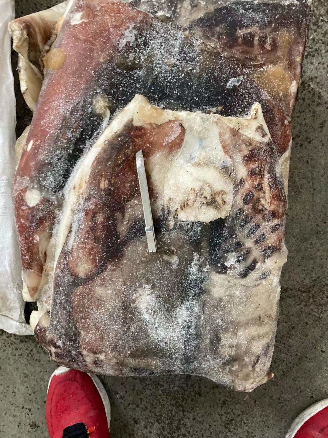 2 - Skinless мембрана 4kg с мяса кальмара IQF замороженного