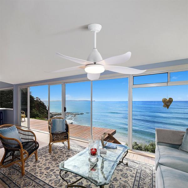 Fancy Iron 3000K 35W 5 ABS Blade Ceiling Fan Lamp Big Natural Style