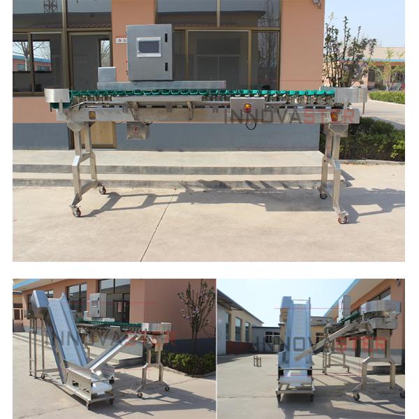 Stainless Steel Grading Size Automatic Chicken Weight Sorting Machine for Sorting