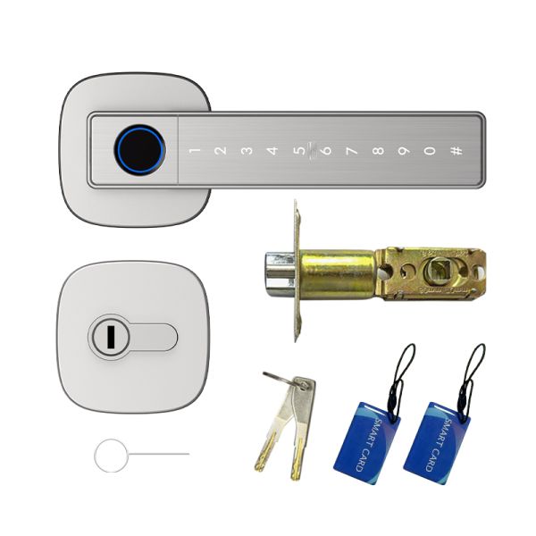 Tuya Smart Lock Durable Aluminum Alloy Auto Entry Door with Fingerprint Password Card and for Easy Installation