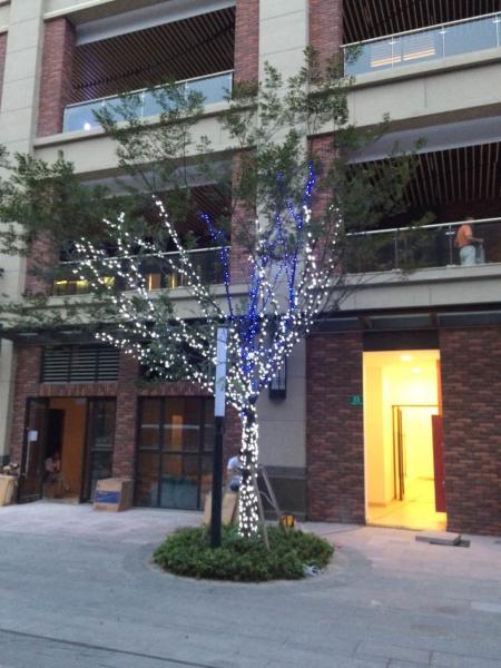 Holiday Lighting, PVC,Rubber Wire,Single Color, Multi-Color  Decorative Lighting, Hot Sales