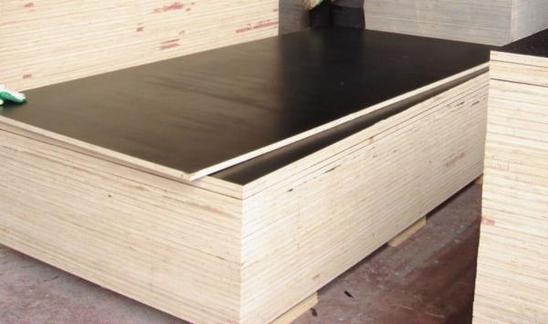 Construction Material E2 Film Faced Plywood