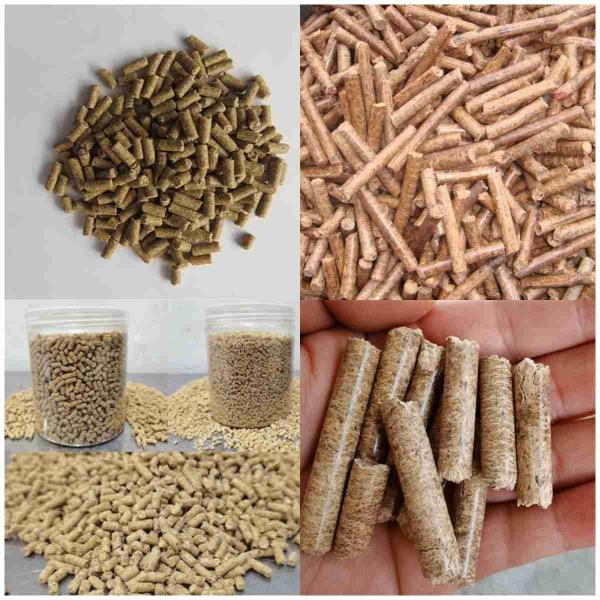 квартира 100-500kg/H умирает корм для животных окомкователя PTO опилк биомассы мельницы лепешки