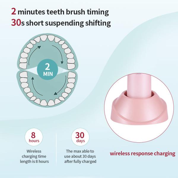 15 Modes Rechargeable Electric Toothbrush With 800mAh 14500 Lithium Battery