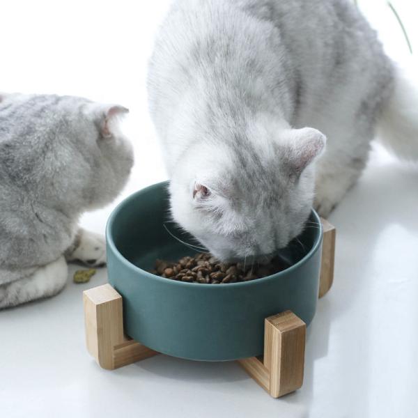 OEM ODM Elevated Cat Food Bowls Ceramic Pet Bowl Slow Feeder Dog Bowl Ceramic Dog Bowls Ceramic Cat Bowl