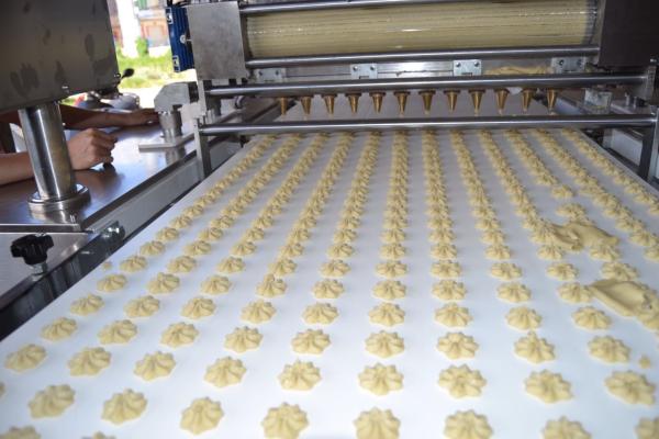 stainless steel automatic cookie biscuit soft biscuit machine rotary mould with speed