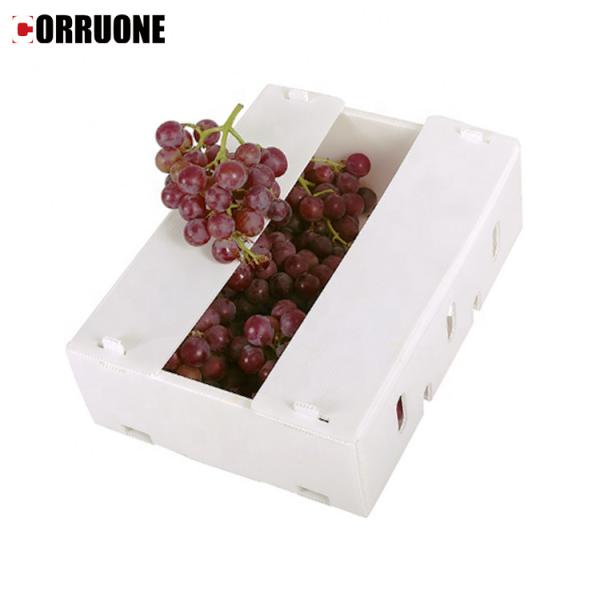 Коробка Recyclable сота полистироля упаковывая без крышки