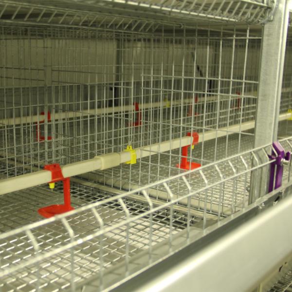 Оборудование сельского хозяйства птицы батареи, прочный тип 192 клетка х цыпленка младенца