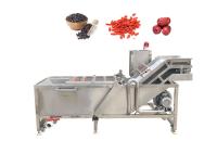 Machine à laver de mangue de Chili Raisin 500kg/h de bulle de l'ozone