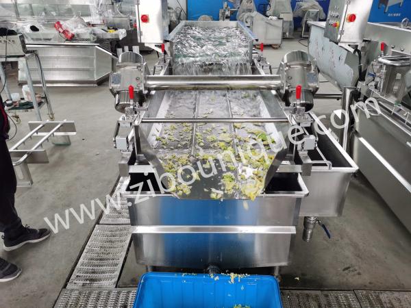 Máquina de limpeza de lavadora de frutas e vegetais para alface de iceberg fresca