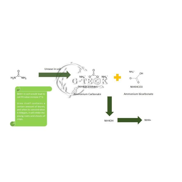 PH4 - 6 Amino Acid 80 Powder Fertilizer Organic Raw Material