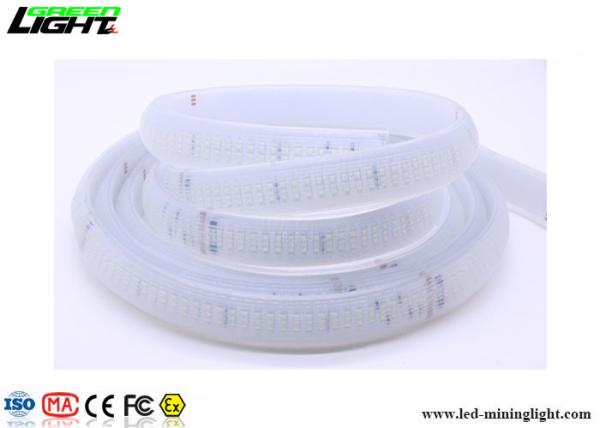 IP68 DC24V LED Flexible Strip Lights 2000lum 120LEDs/M Explosion Proof