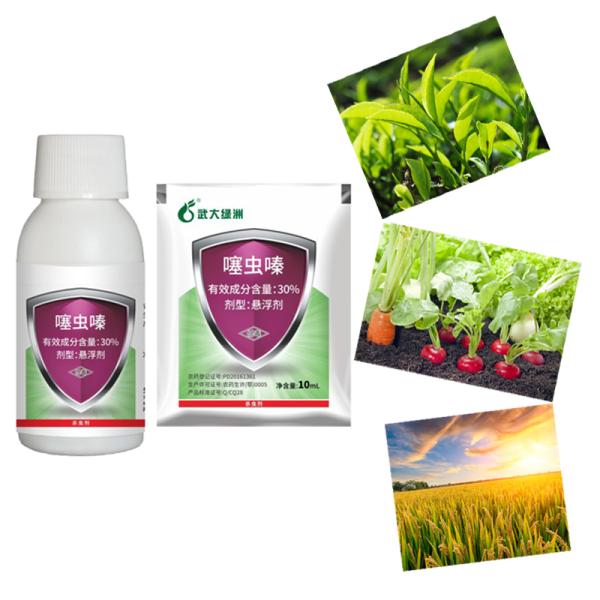 Low Toxic Agricultural Insecticide Thiamethoxam Agriculture Chemical Thiamethoxam 30% purity