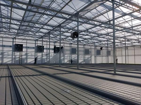 Hydroponic Trays Greenhouse Benches Ebb And Flow Rolling Benches 3mm