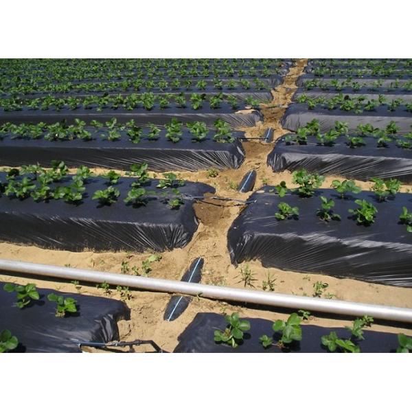 Polypropylene Woven Plastic Ground Cover , 4.2x100m 100gsm Black Garden Fabric