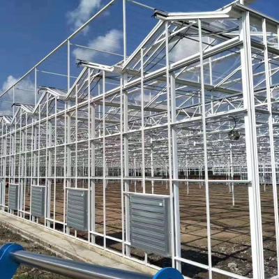 High Venlo Type Greenhouse Strong Commercial Multi Span Glass Covered