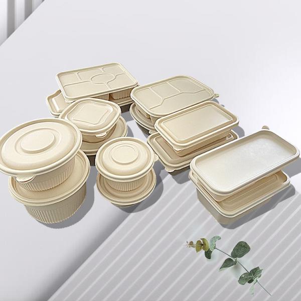 Biodegradable Eco Friendly Takeaway Boxes Waterproof And Oil Resistant