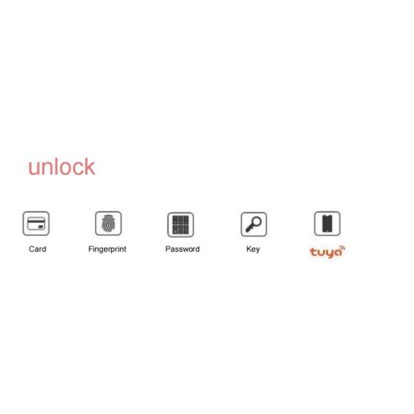 ELA E-720 Automatic Fingerprint Home Security Face Recognition Intelligent Lock Visual Door Viewer Electronic Lock