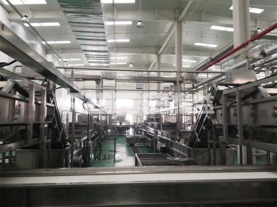 Fruits Vegetables Mesh Belt Dryer Machine Conveyor Pet Feed Machine Dryer For Vegetables