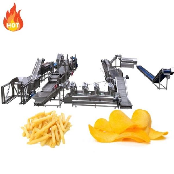 Máquina de fabricação de batatas fritas congeladas de 300 kg para produção automática de batatas fritas congeladas