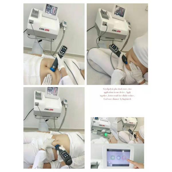 Мобильная машина Cryolipolysis жирная замерзая для размера потери веса компактного