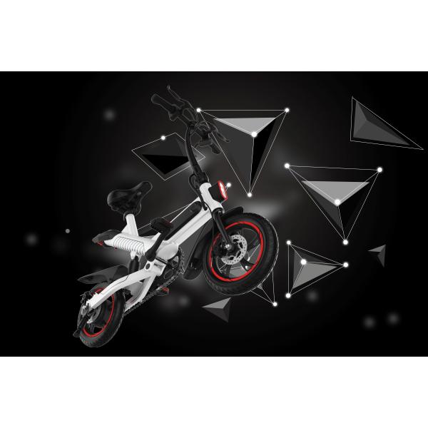 36V Small Lightest Electric Folding Bike Aluminum Alloy Frame Long Service Life