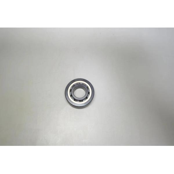 Клетка 20×47×14mm ВЗГЛЯДА УКРАДКОЙ шариков NU 204 подшипников ролика SSiC керамическая