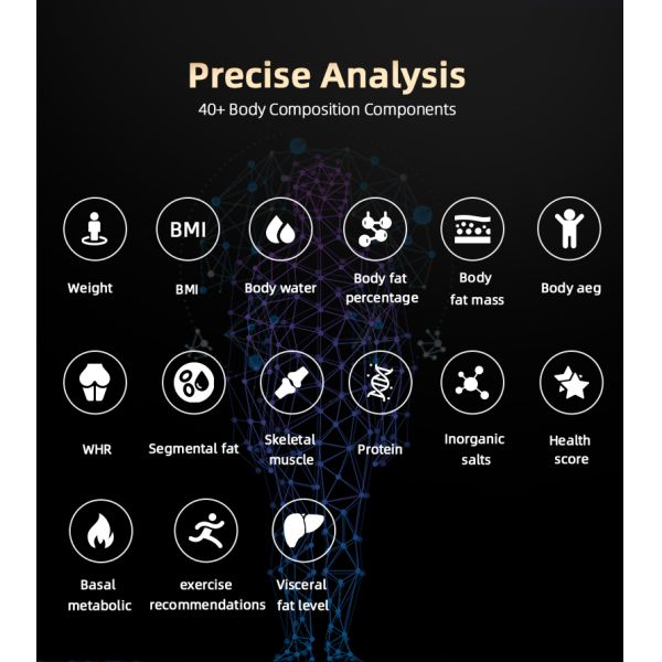 SH-10F BIA Body Inbody Analyzer Machine/body Analyzer/ Body Composition Analyzer