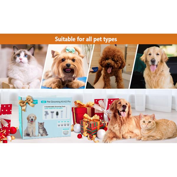 Bajo ruido 5 en 1 Kit de limpieza de mascotas con acero inoxidable