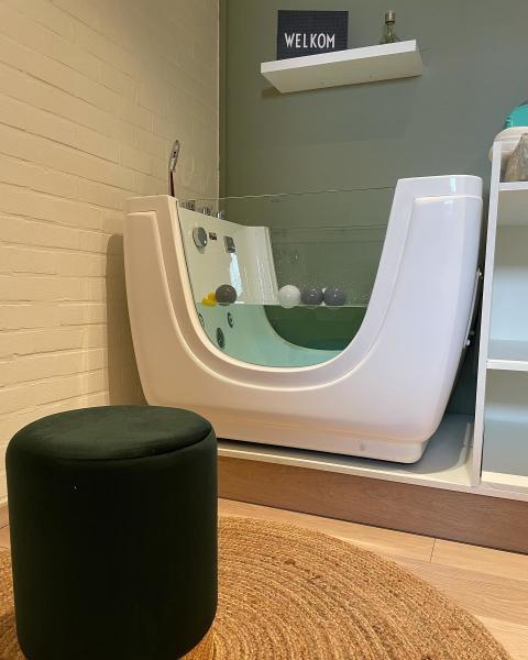 Indoor Baby SPA Bath Tub Tubeless Pump Combo Massage Thermosta with Ozone