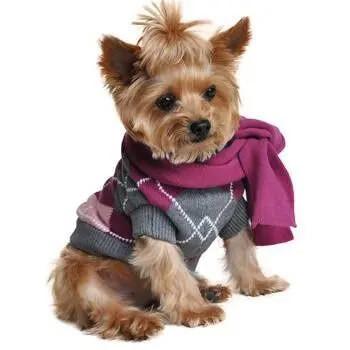 Projeto feito sob encomenda feito malha desenhos animados da cópia da roupa do cão do algodão da roupa do inverno do animal de estimação